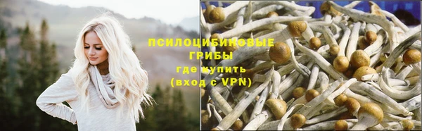 гашик Краснослободск