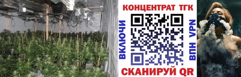 как найти закладки  hydra сайт  ТГК гашишное масло  Южноуральск 