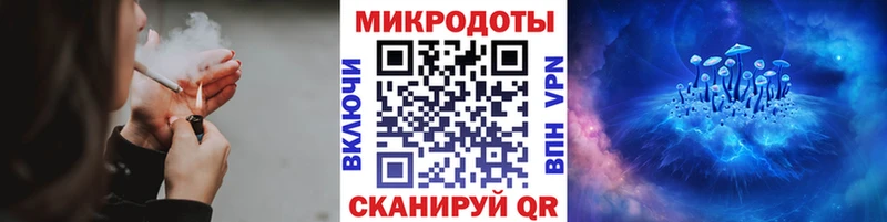 shop наркотические препараты  MEGA зеркало  Южноуральск  как найти закладки  Галлюциногенные грибы мухоморы 